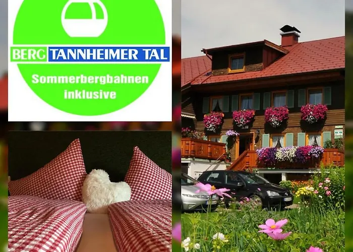 & Almhostel Alpenperle - Selbstversorger * Tannheim